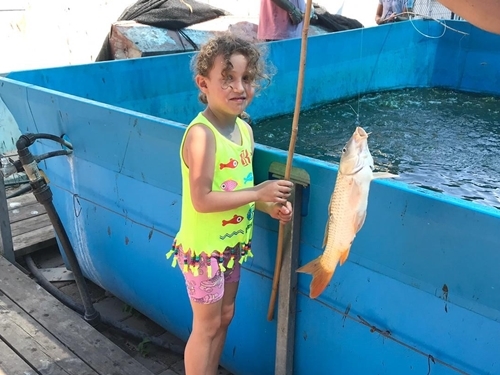 דג בכפר - פארק דייג